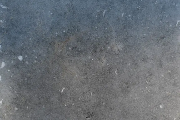 Kazino Coins Game Pagalba